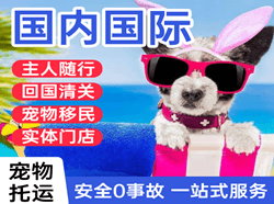 徐州观音机场邮寄国际宠物托运 【国